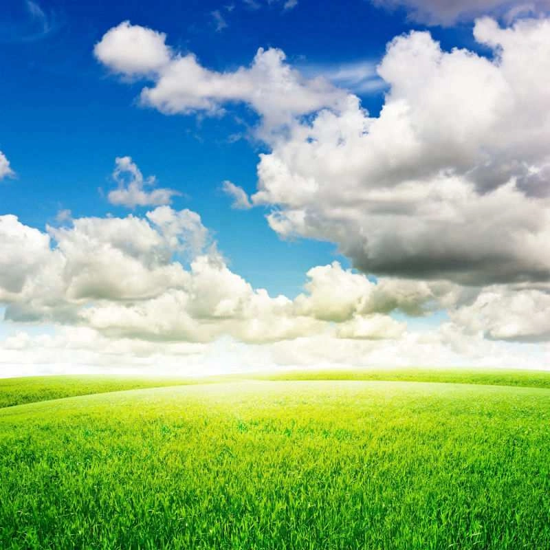 Ảnh đại diện xinh, đẹp từ cái nhìn đầu tiên