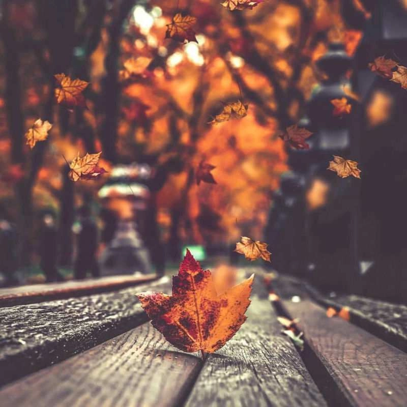 Ảnh đại diện đẹp nhất thế giới, tự tin thể hiện bản thân