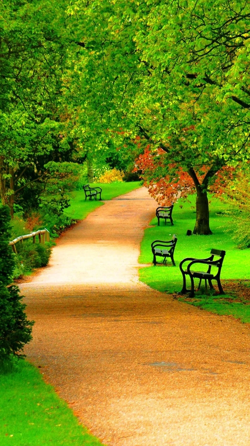 Anh nền điện thoại đẹp sẽ mang đến cảm giác mới mẻ