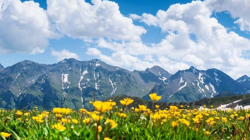 Hình nền máy tính phong cảnh sống động đầy ấn tượng