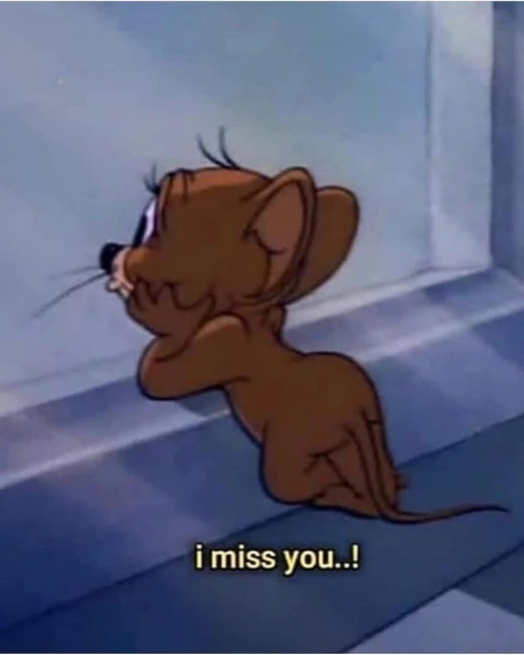 Ảnh Jerry meme siêu dễ thương và vui nhộn