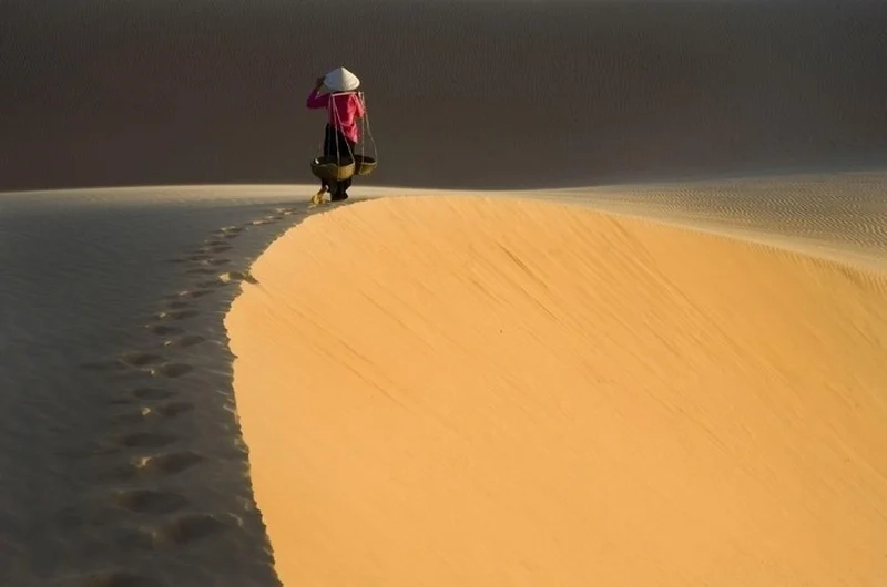 Hình nền đại diện facebook đẹp, hoàn hảo cho profile của bạn