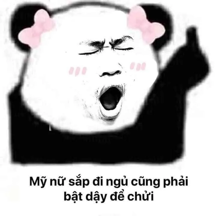 Một cái ôm ấm áp từ meme ngủ ngon mèo trước khi ngủ