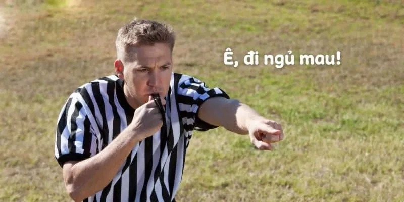 Để ngủ ngon meme mèo đưa bạn vào giấc ngủ thật yên bình