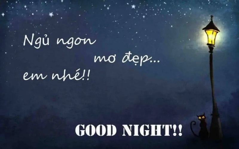 Meme mèo nằm ngủ thư thái đúng chuẩn một ngày dài mệt mỏi