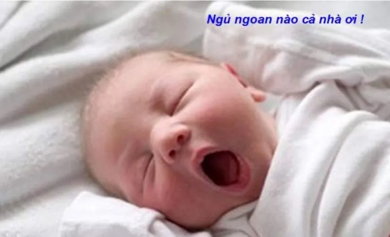 Meme chúc ngủ ngon đáng yêu này sẽ làm tan chảy trái tim bạn