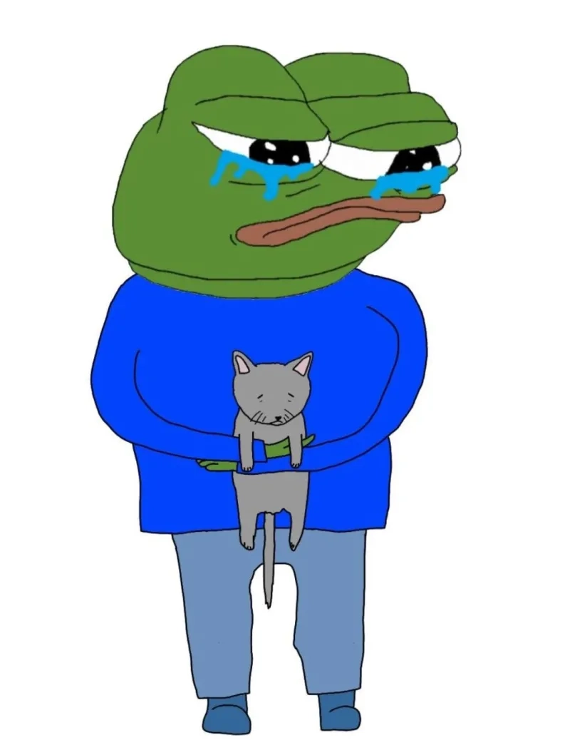 Tâm trạng chạm đáy với meme ếch xanh khóc đầy cảm xúc