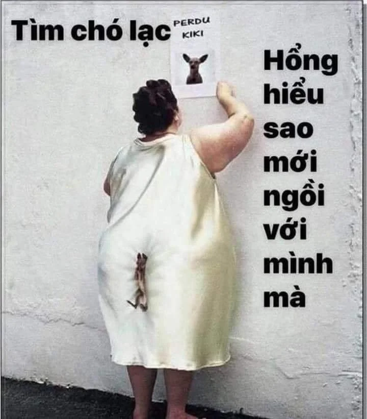 Chế ngay Doge bonk meme troll bạn bè cực vui
