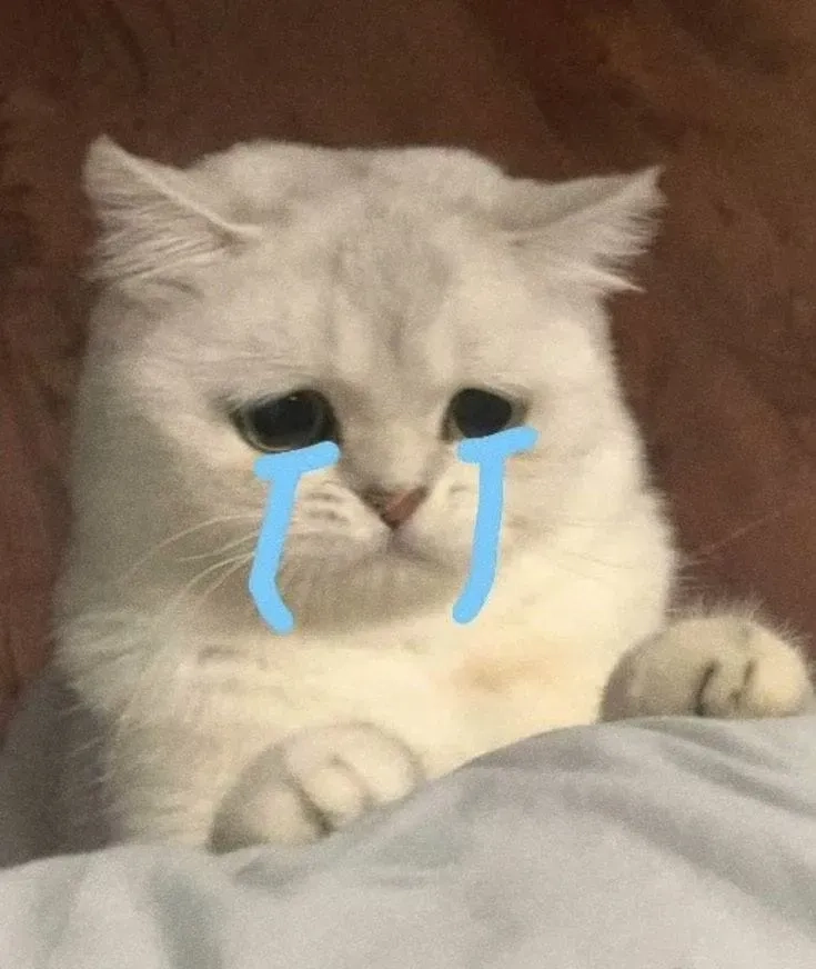 Meme khóc cute sẽ khiến bạn phải yêu ngay từ cái nhìn đầu tiên.