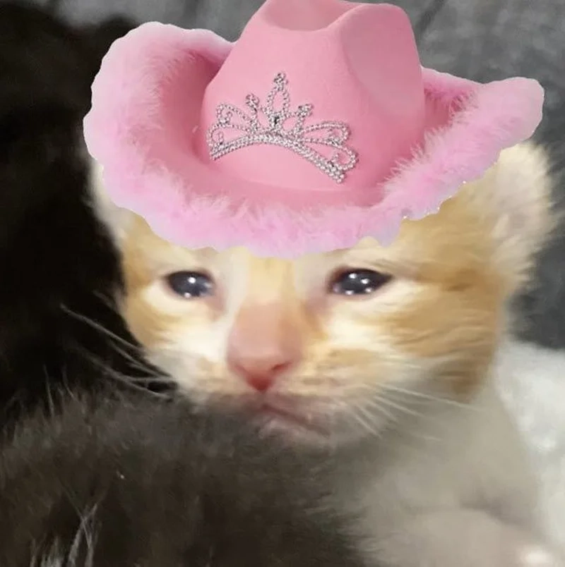 Hình ảnh meme mèo buồn khơi dậy nỗi nhớ trong lòng