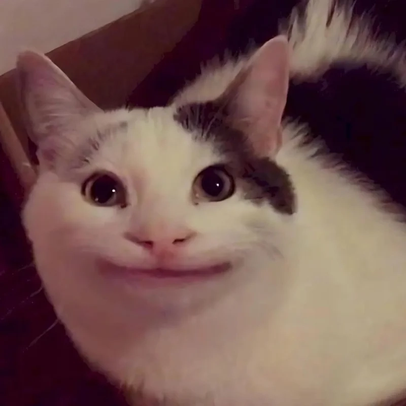 Meme cười ẻ mang lại tiếng cười sảng khoái mỗi ngày