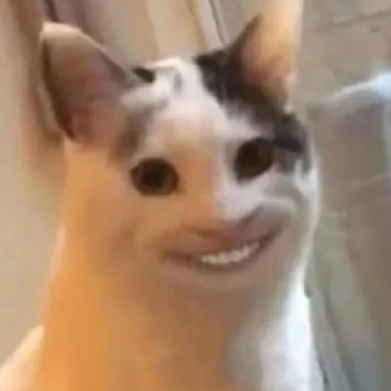 Cười meme mèo, một liều thuốc tinh thần tuyệt vời