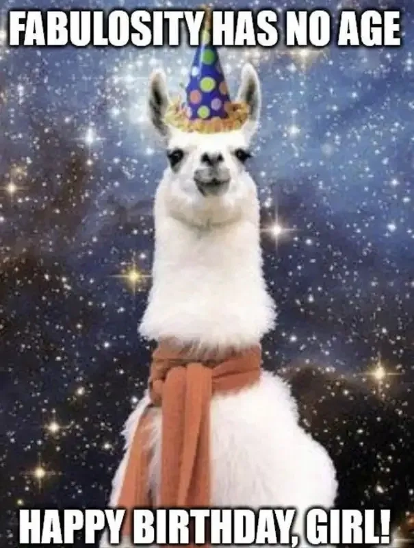 Lời chúc vui nhộn với happy birthday meme việt hài hước