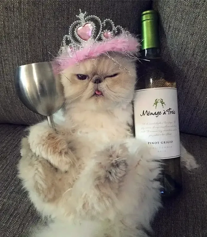 Lời chúc ấn tượng với meme chúc mừng sinh nhật sến