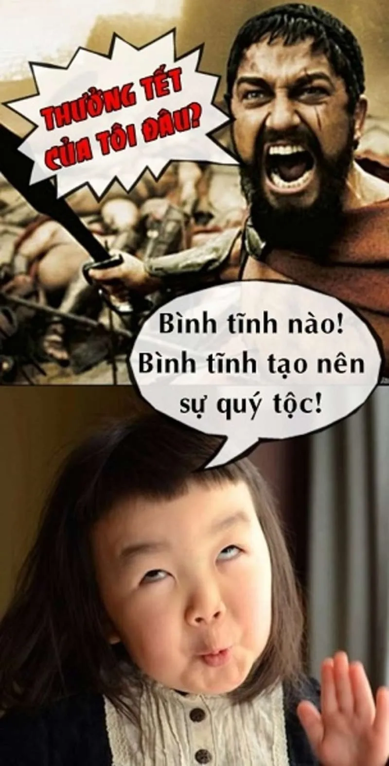 Thay ngay avt mèo tết meme để hòa cùng không khí lễ hội