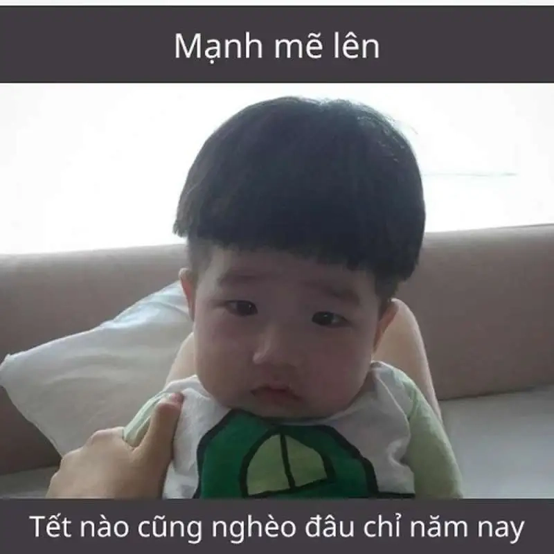 Cùng nhau đón Tết với meme mèo đón tết cực hài