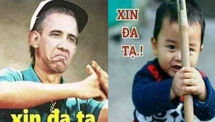Cần ảnh meme mèo xin lỗi để làm hòa ngay