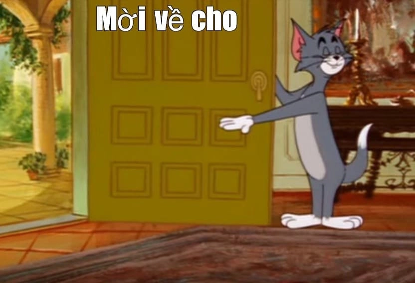 Mèo Tom ngầu với ánh mắt sắc lạnh đầy cá tính