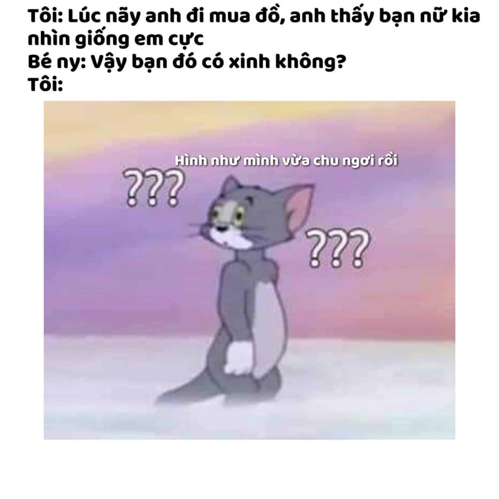 Mèo Tom dễ thương với biểu cảm ngốc nghếch đáng yêu