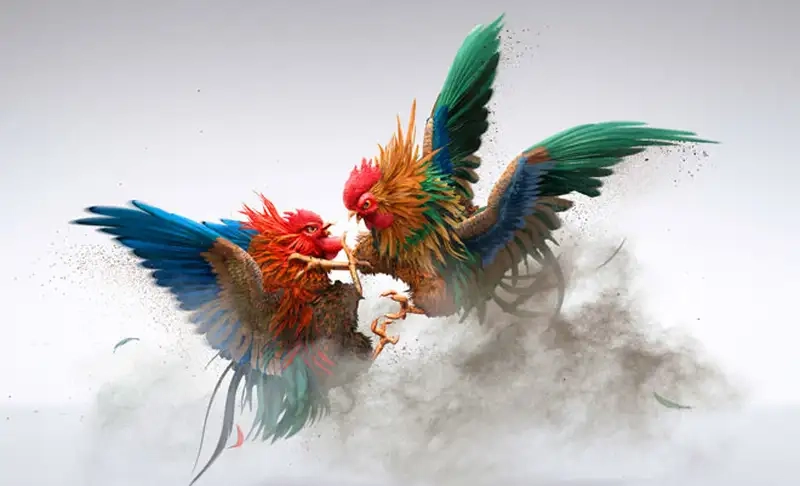 Cách đọc bài Poker 99OK nhanh và chuẩn xác