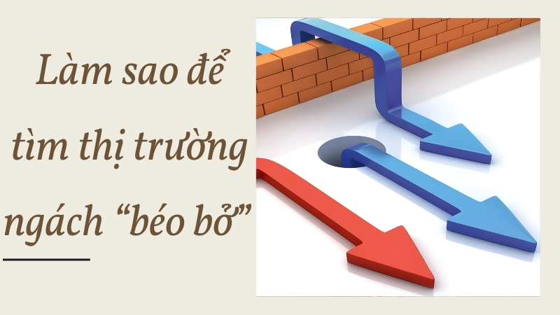 Làm sao để tìm thị trường ngách “béo bở” ngay tháng này?