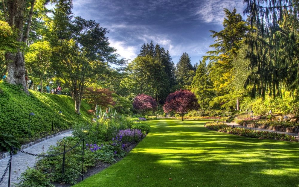 Ảnh thiên nhiên đẹp buồn man mác cô đơn