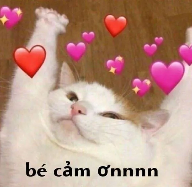 Meme cảm ơn biểu cảm lịch sự và thân thiện