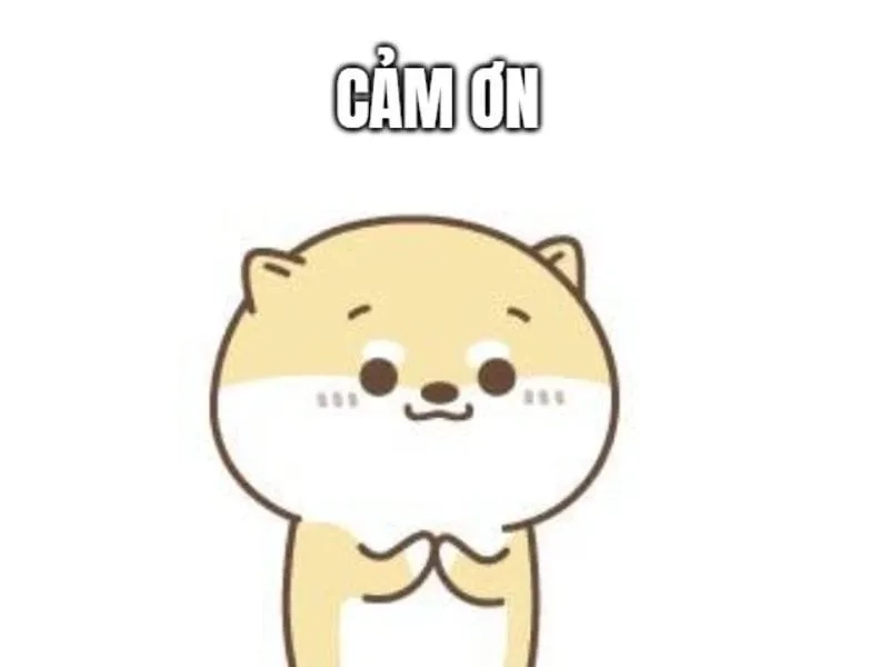 Hình meme cảm ơn dùng cuối bài rất phù hợp