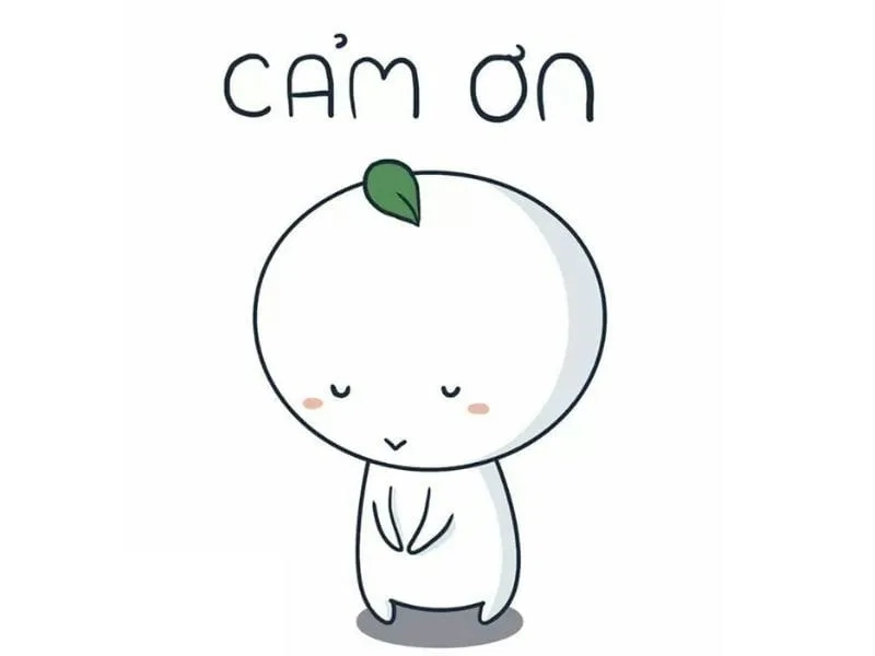 Meme cảm ơn hài hước dùng phản hồi rất vui