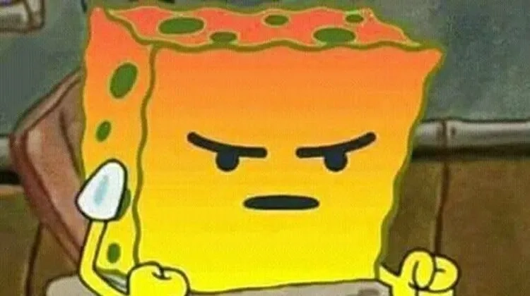 Tức giận ảnh meme dỗi mèo cute rất đáng yêu