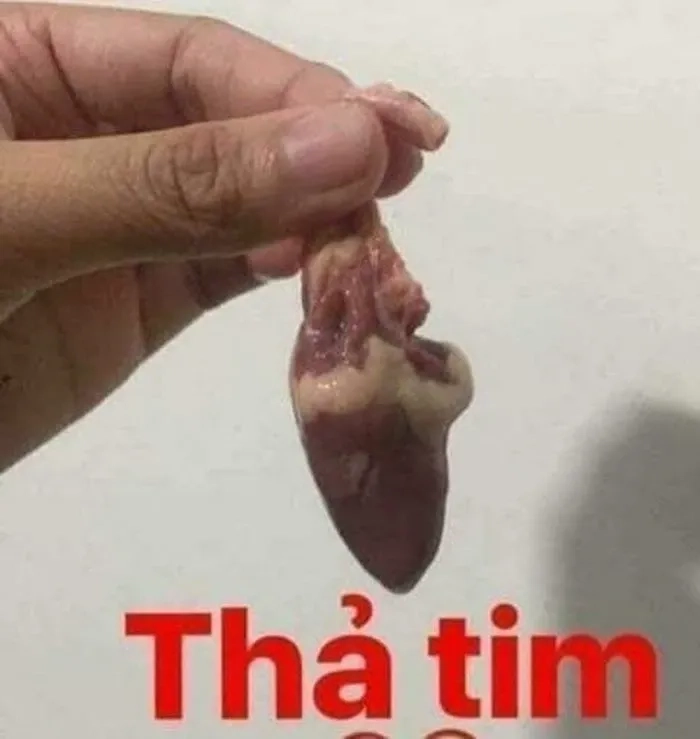 Thả tim hài dùng khi thích mà vẫn muốn đùa