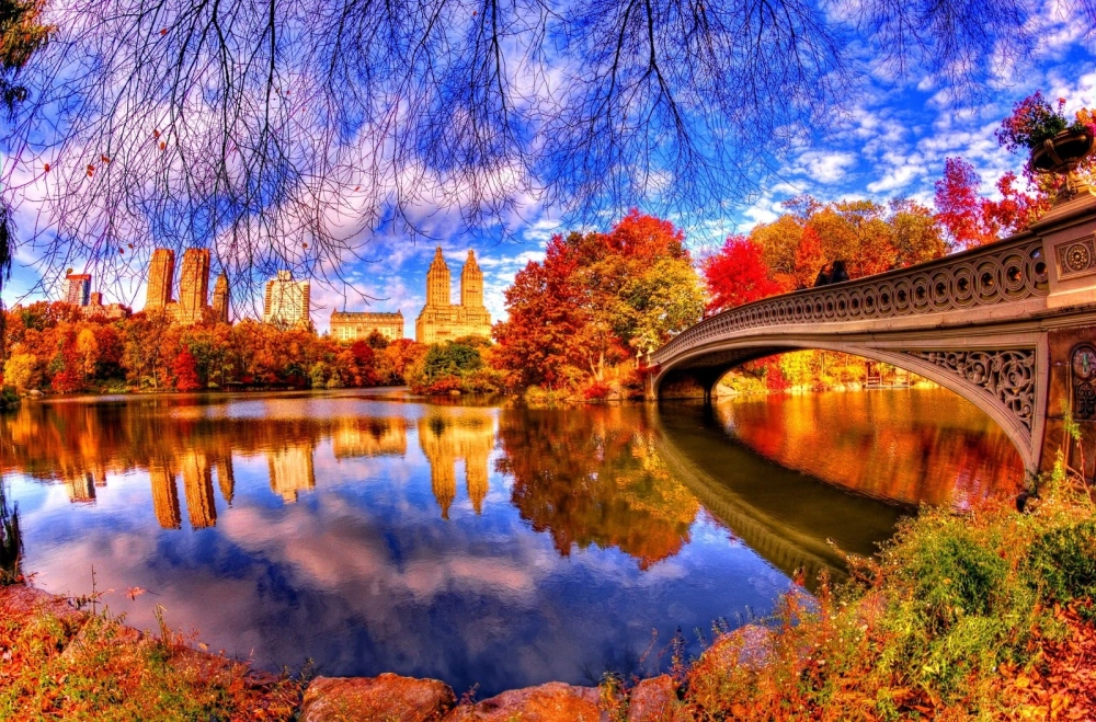 Hình nền điện thoại thiên nhiên 4k rất chill