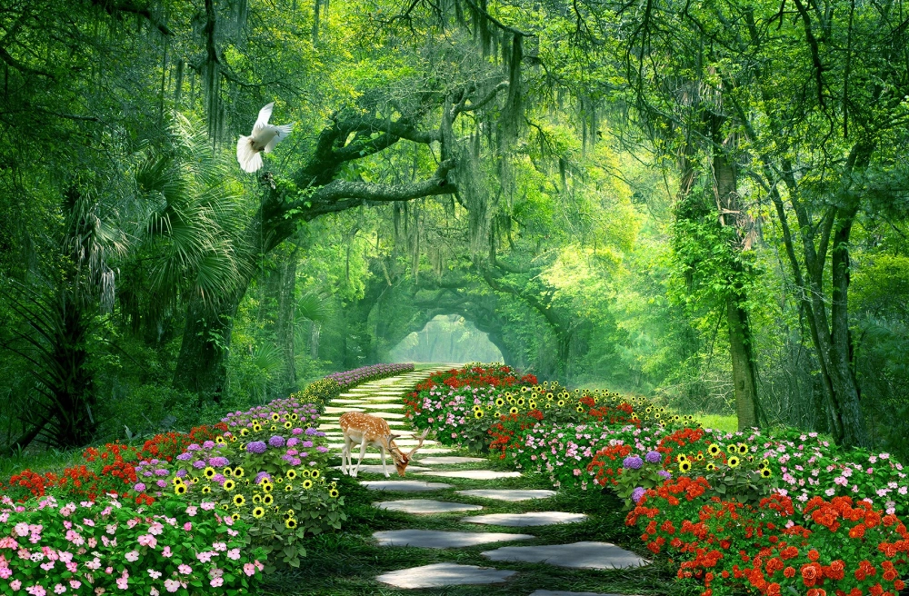 Hình nền phong cảnh 4k cho điện thoại sắc nét