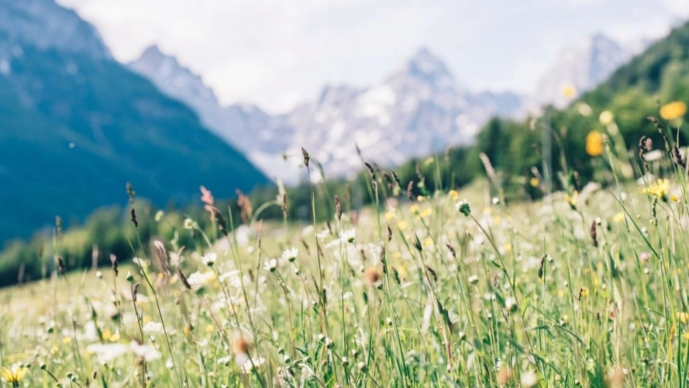 Bầu trời xám xịt tạo cảm giác nặng nề