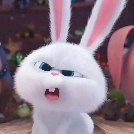 Thỏ snowball avatar dễ thương dùng làm ảnh đại diện