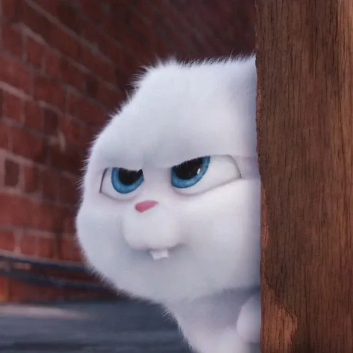 Rabbit thỏ snowball avatar phong cách đáng yêu