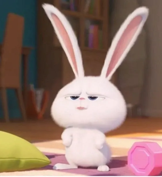 Hình nền thỏ snowball đáng yêu cho điện thoại