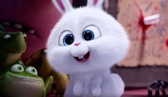 Thỏ snowball tập tạ tạo hình mạnh mẽ hài hước