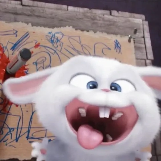 Thỏ snowball mua ở đầu được nhiều người tìm kiếm