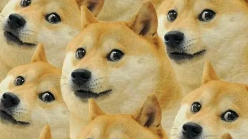 Ảnh chế meme gốc thường được dùng để remix.