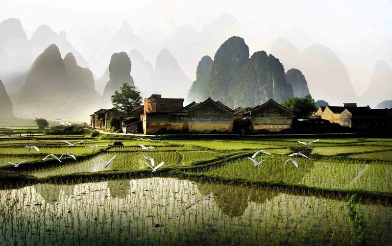 Ảnh phong cảnh đẹp full hd rõ nét.