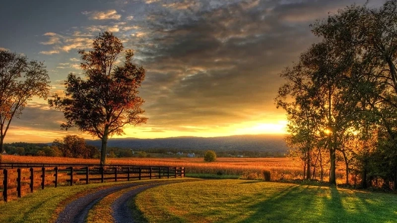 Hình nền lãng mạn về tình yêu đẹp.