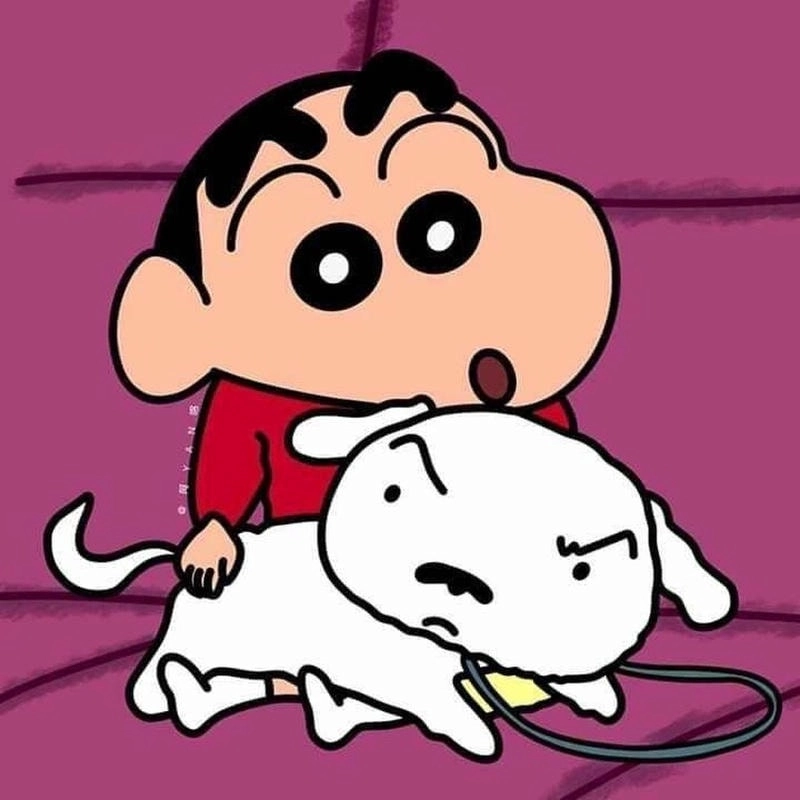 Cartoon ngộ nghĩnh avatar shin cute nhìn rất vui mắt.