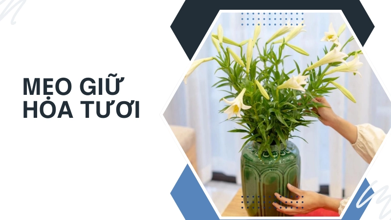 Tổng hợp các mẹo giữ hoa tươi lâu đơn giản tại nhà