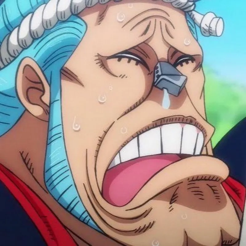 Cập nhật những xu hướng hài hước mới nhất từ cộng đồng franky memes one piece.