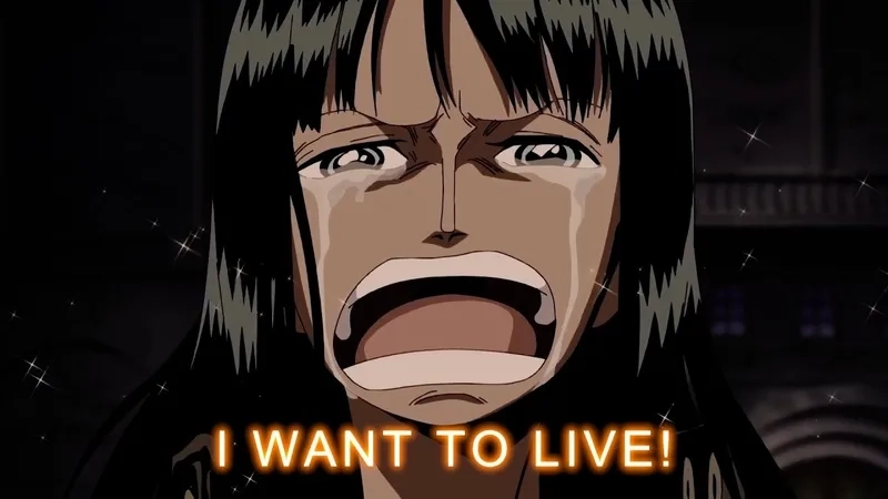 Tìm hiểu về vai trò quan trọng của nico robin one piece trong việc giải mã Poneglyph.