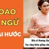 Ca Dao Tục Ngữ Chế Cười Vỡ Bụng: Tuyển Tập Hài Hước Bá Đạo