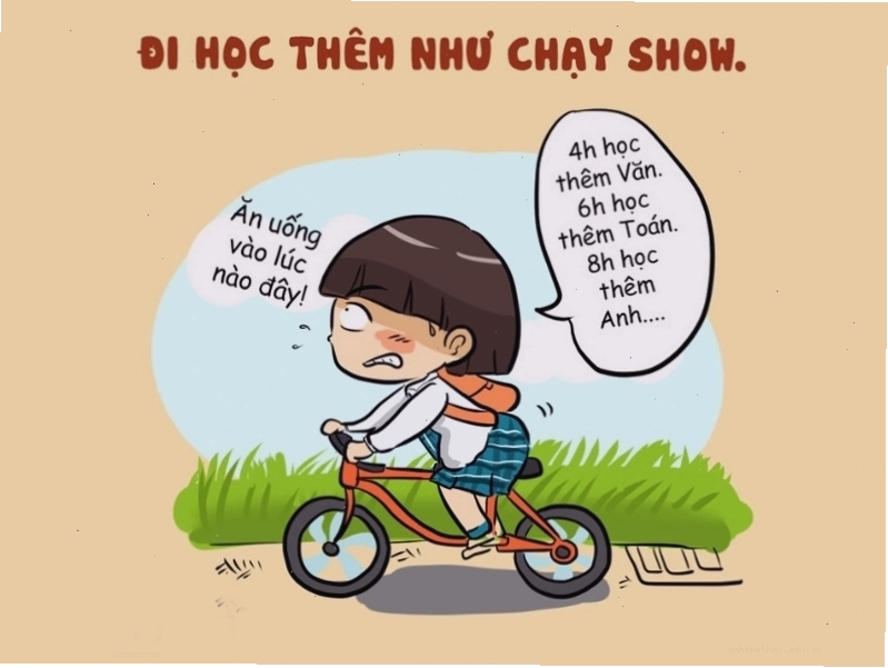 Ảnh chế hài hước về lịch trình học tập dày đặc