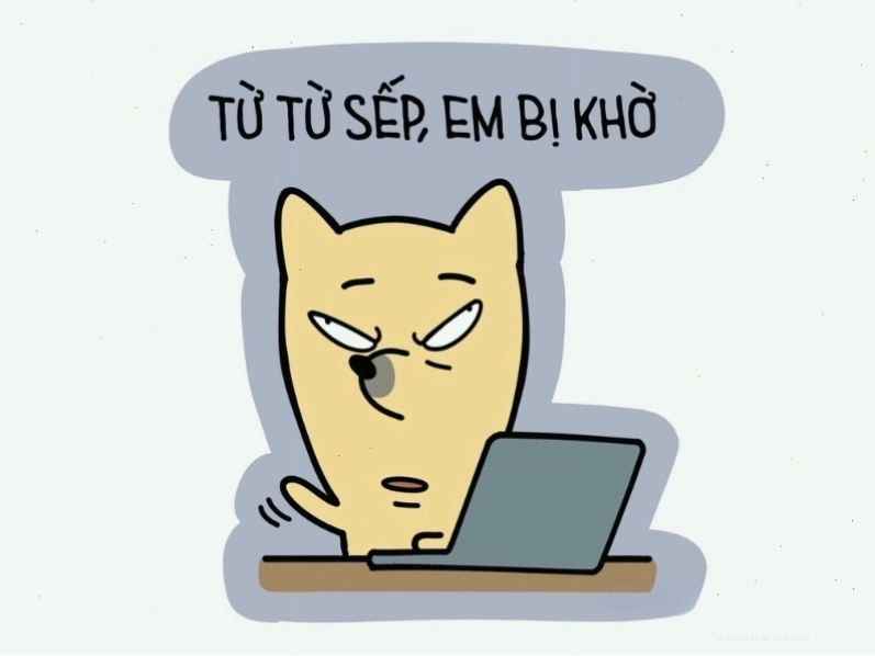 Ảnh chế hài hước về thái độ làm việc