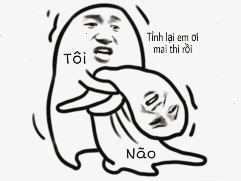 Ảnh chế hài hước về trạng thái não bộ trước kỳ thi